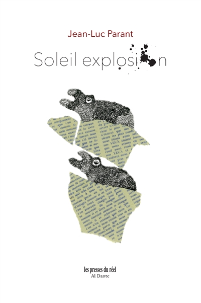 couverture du livre Soleil explosion