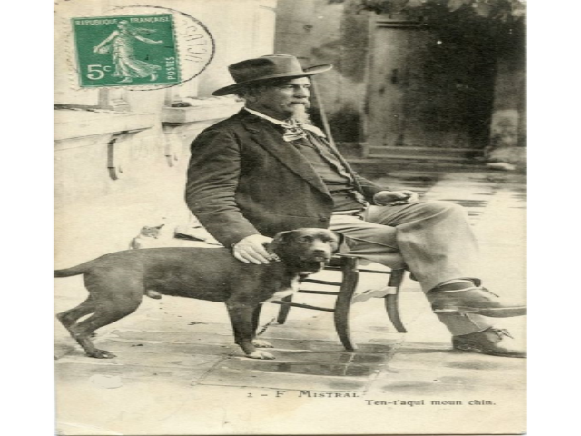 Photo noir et blanc mistral avec son chien