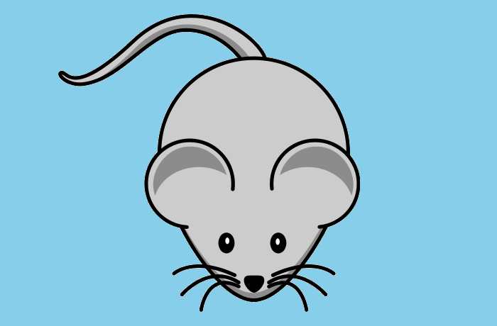 Logo du site la souris-web